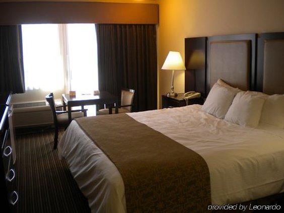 Hotel Vue Mountain View Rum bild